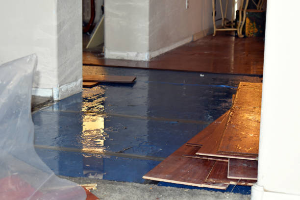 Professional Water Damage Restoration technician working in Descanso, CA